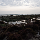 1/800 seconds, f/5.6, 250, unedited